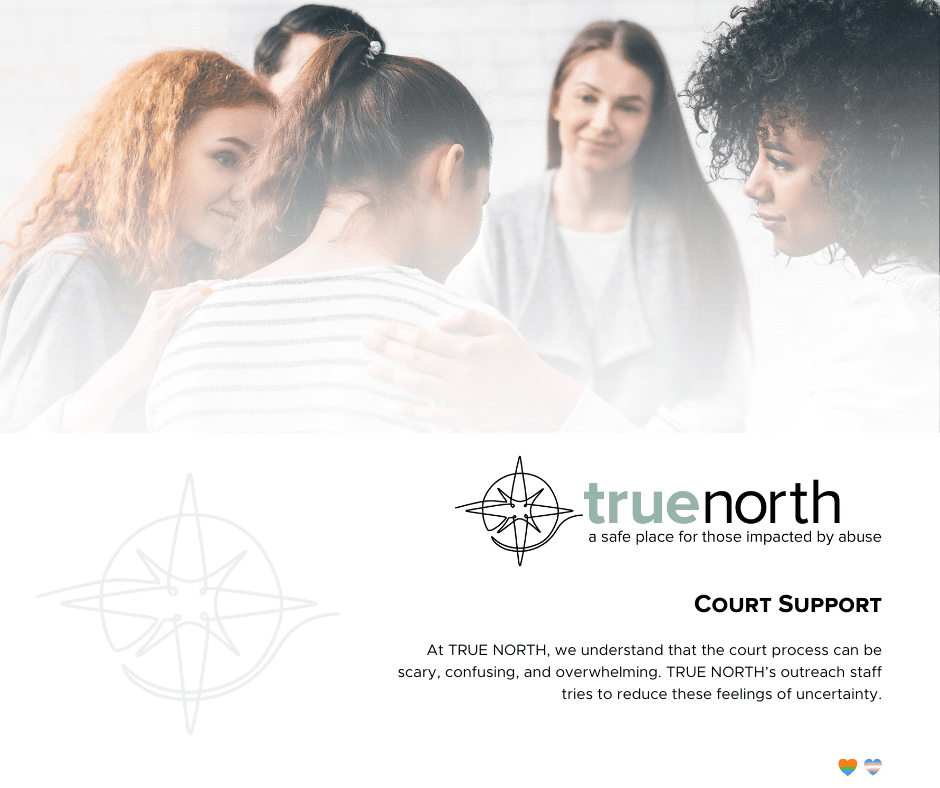 Court Support 2023