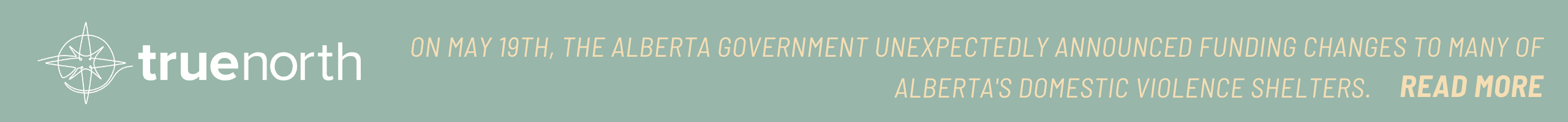 Website Banner (3)