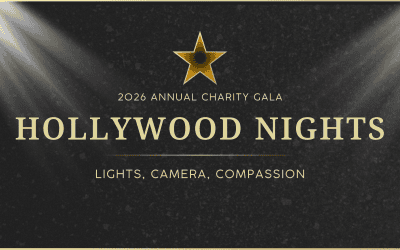 Hollywood Nights